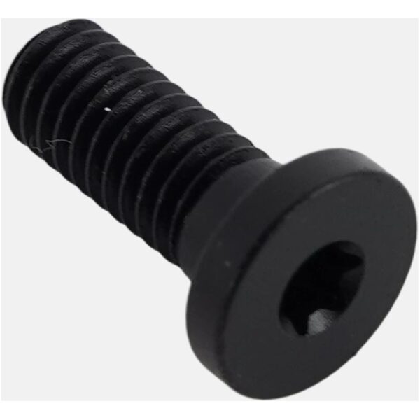 BLT TURBO CONNECT UNIT (TCU) MOUNTING BOLT, T10 TORX, M4X0.7PX10MM, ALLOY, BLACK
