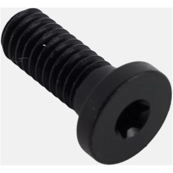 BLT TURBO CONNECT UNIT (TCU) MOUNTING BOLT, T10 TORX, M4X0.7PX10MM, ALLOY, BLACK